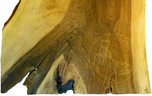 Krebsmühle Möbel - Massive Baumplatte Nussbaum mit organischen Naturrand